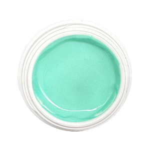 #589 Pastellmint | Premium Farbgel